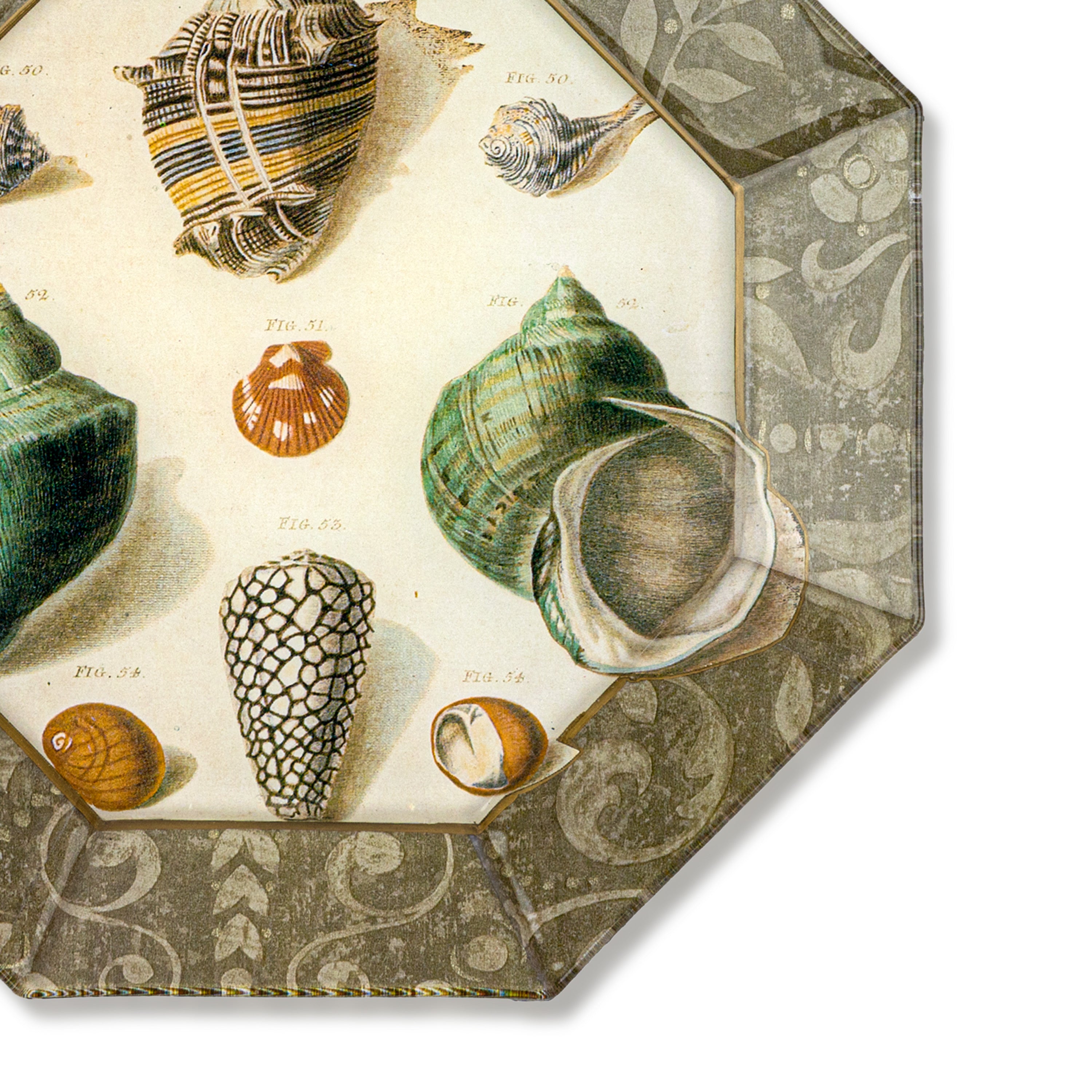 Idée Art Exclusive. Glass Decorative Plate with Seashell Illustration. Medium Size