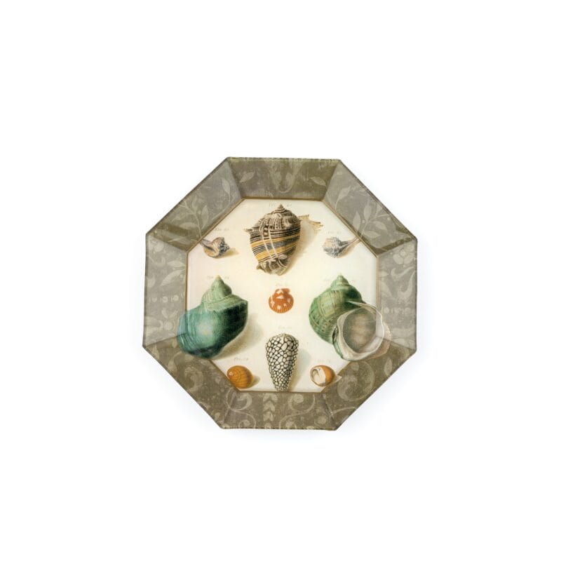 Idée Art Exclusive. Glass Decorative Plate with Seashell Illustration. Medium Size