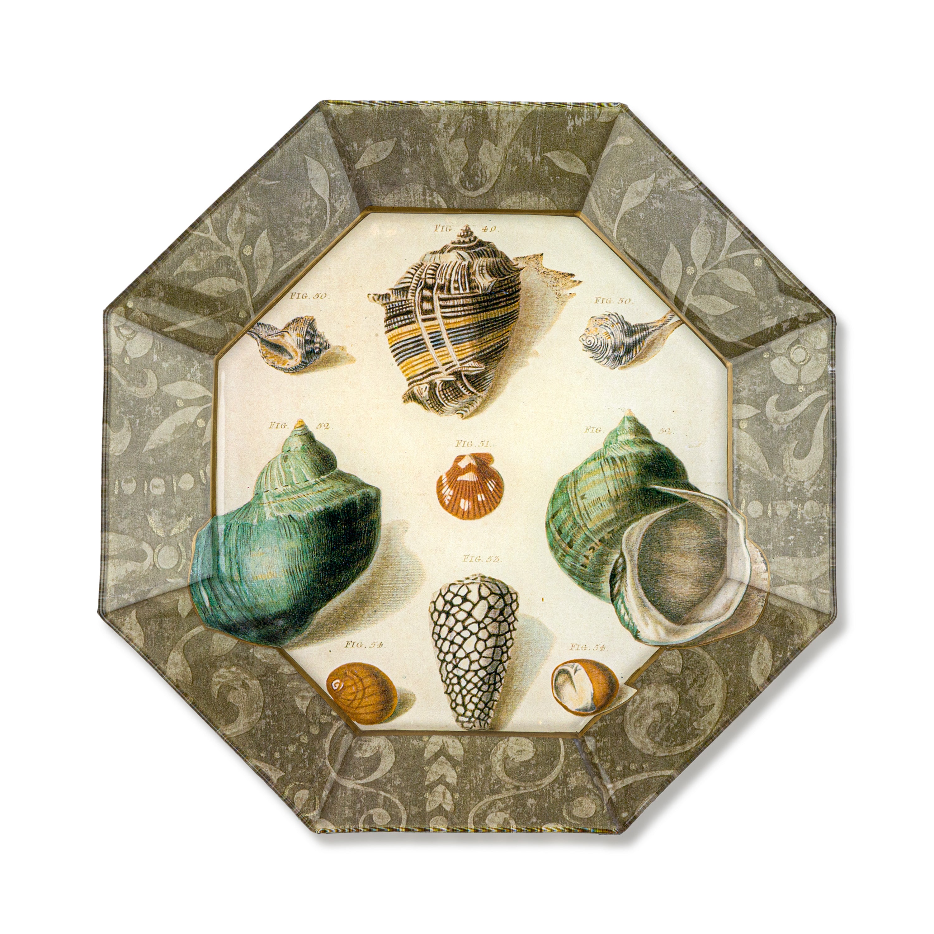 Idée Art Exclusive. Glass Decorative Plate with Seashell Illustration. Medium Size