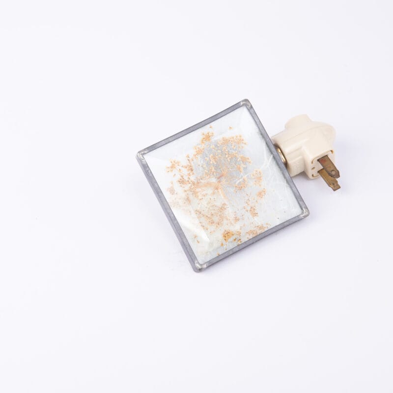 Idée Art Exclusive. Glass Lamp with a Plant Design. Small Size