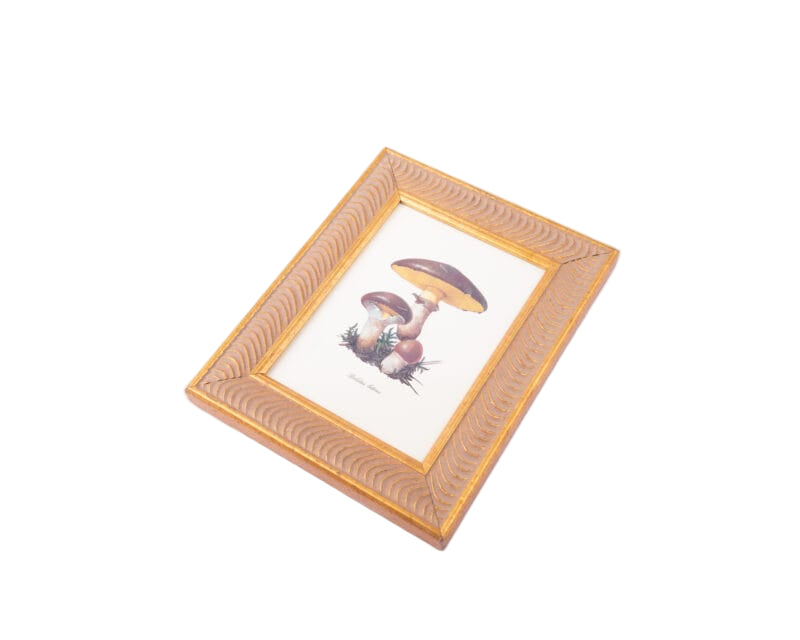 Idée Art Exclusive. Tableau with Mushroom Illustration. Large Size