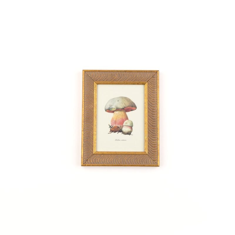 Idée Art Exclusive. Tableau with Mushroom Illustration. Medium Size