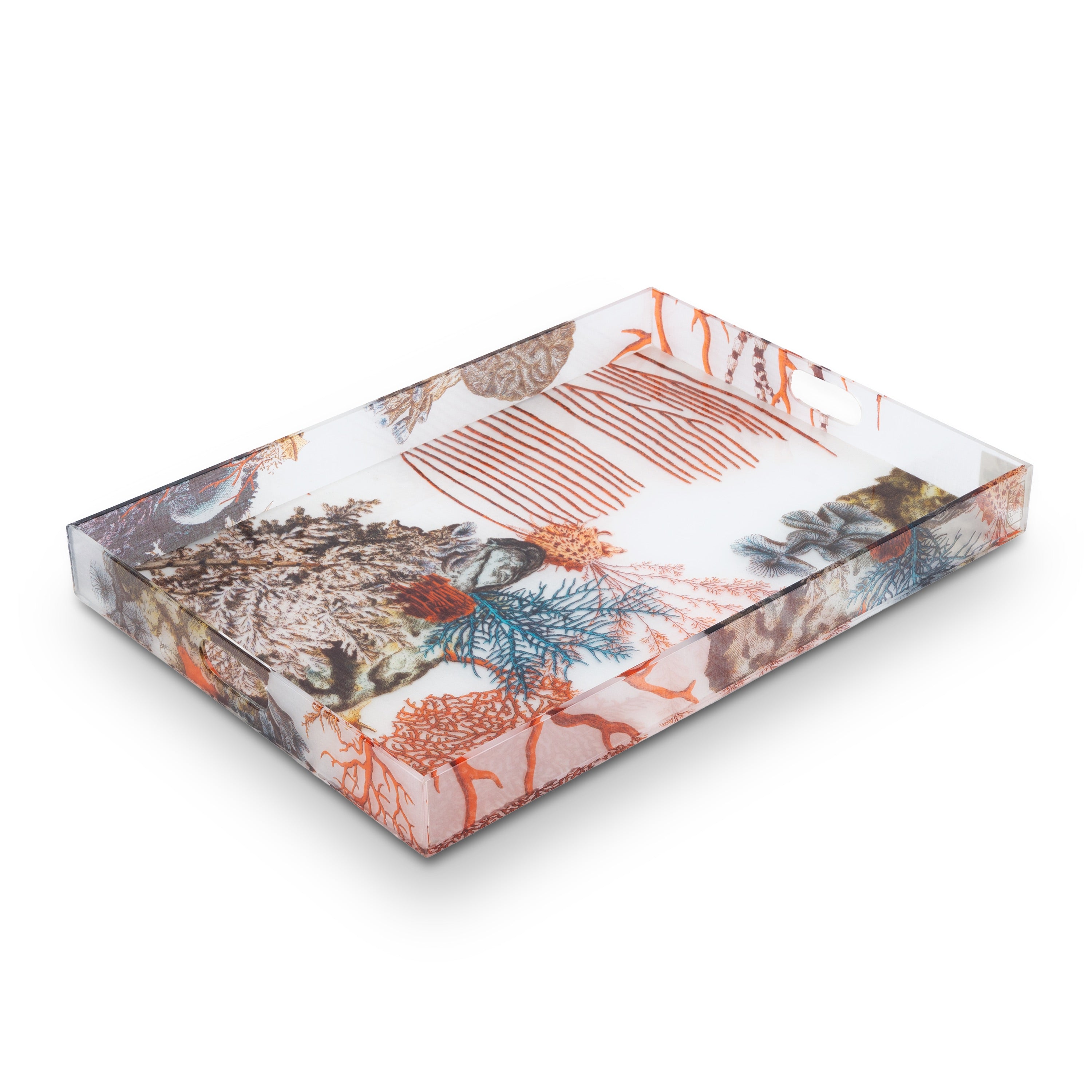 Oggetti. Neptune Plexiglass Tray. Large Size