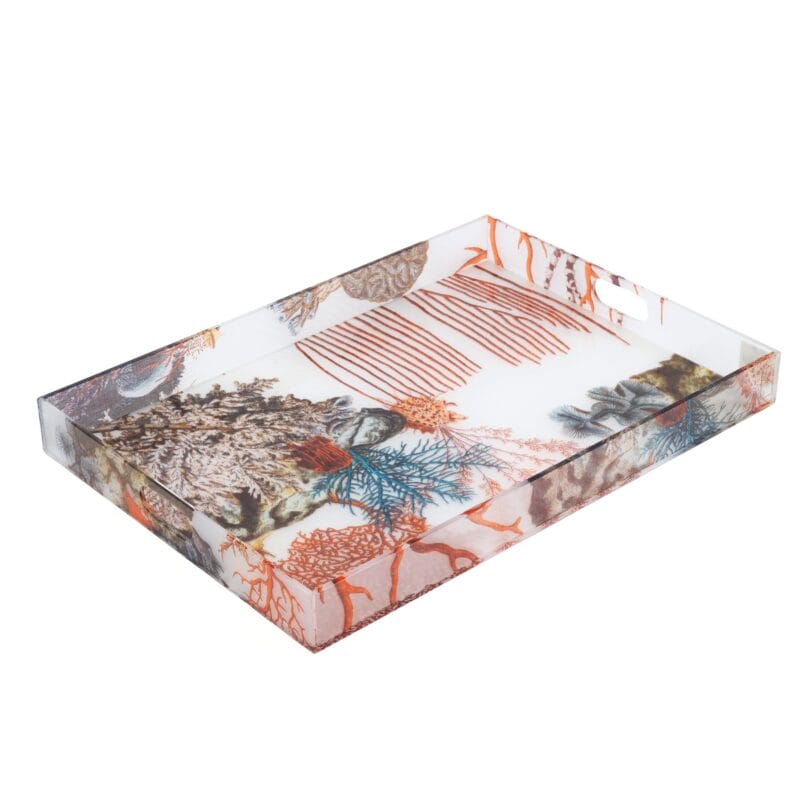 Oggetti. Neptune Plexiglass Tray. Large Size