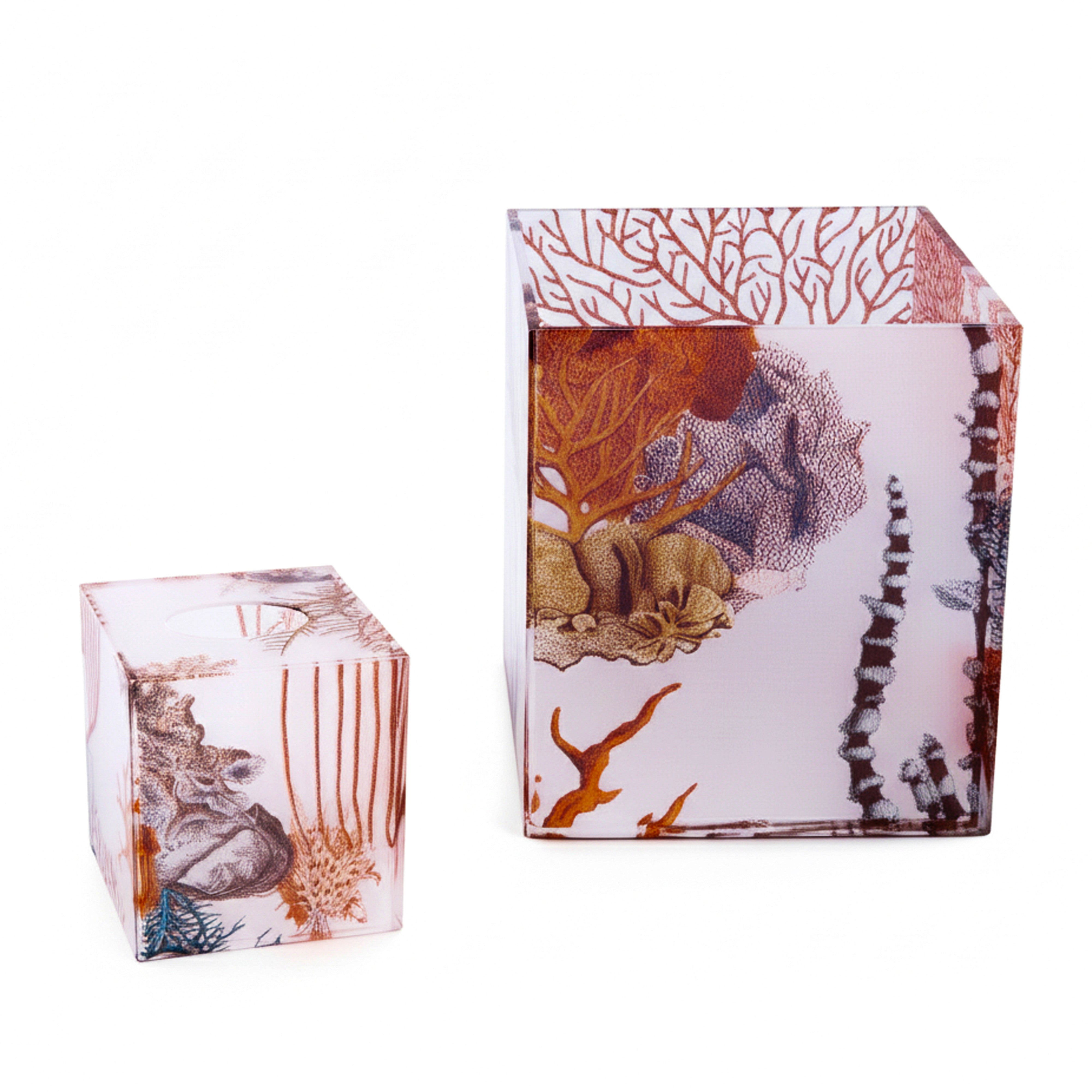 Oggetti. A Set of Neptune Tissue Box & Wastebasket Featuring Coral Life