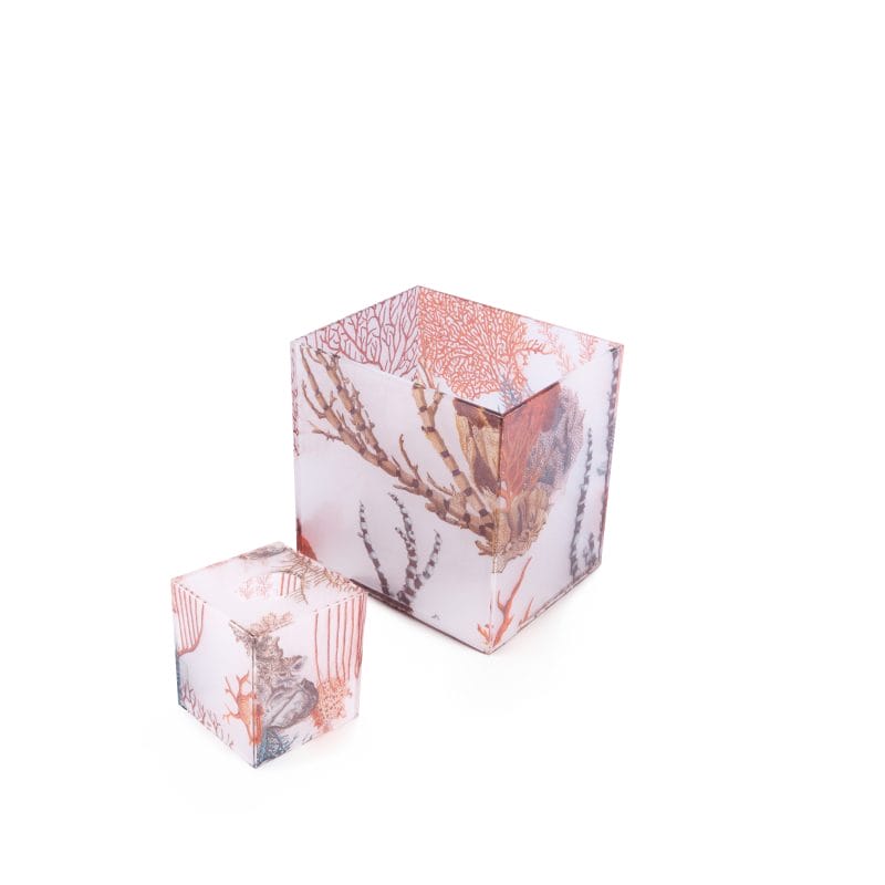 Oggetti. A Set of Neptune Tissue Box & Wastebasket Featuring Coral Life