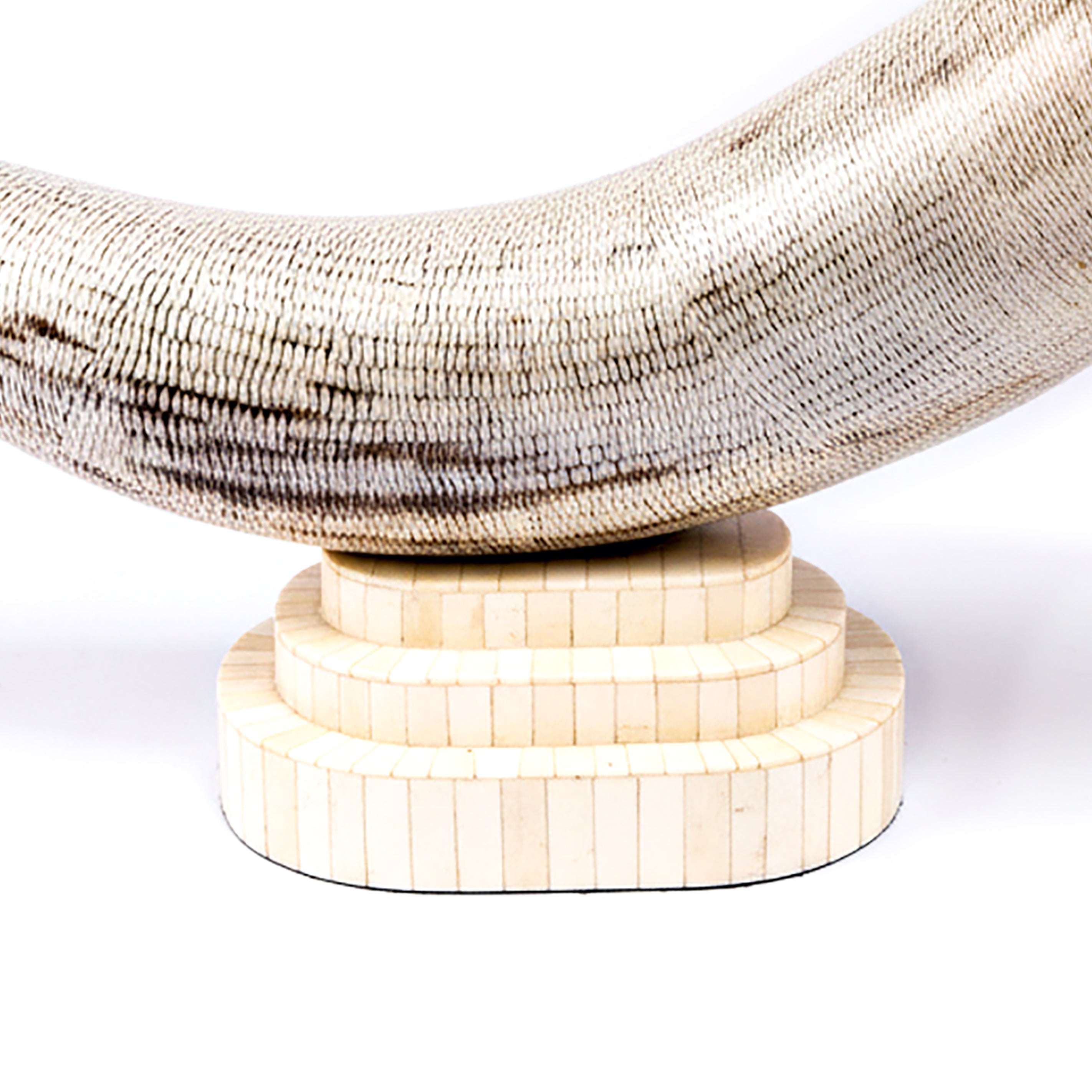 Bojay. Seashell Figurine Designed in Horn Shape. Large Size