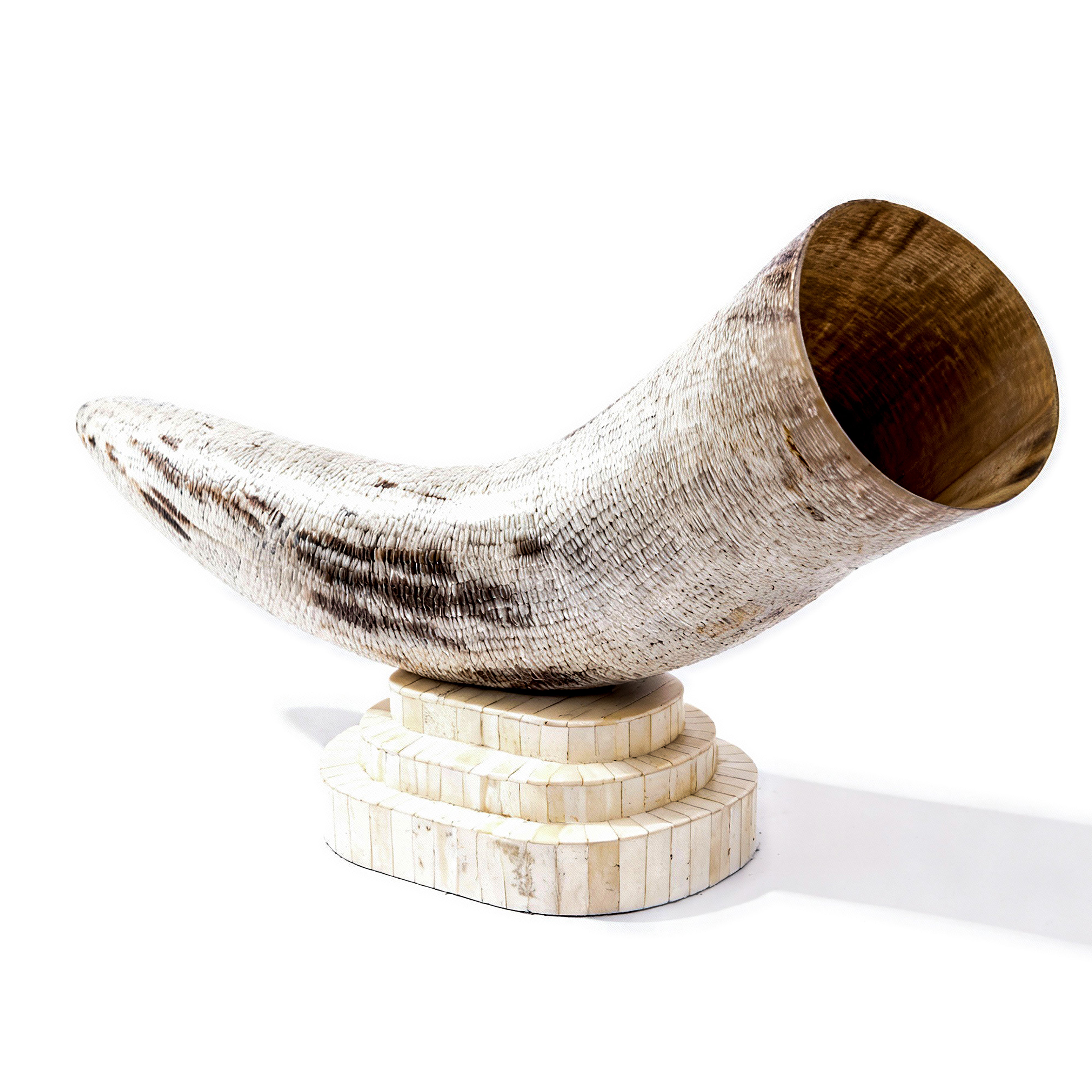 Bojay. Seashell Figurine Designed in Horn Shape. Large Size