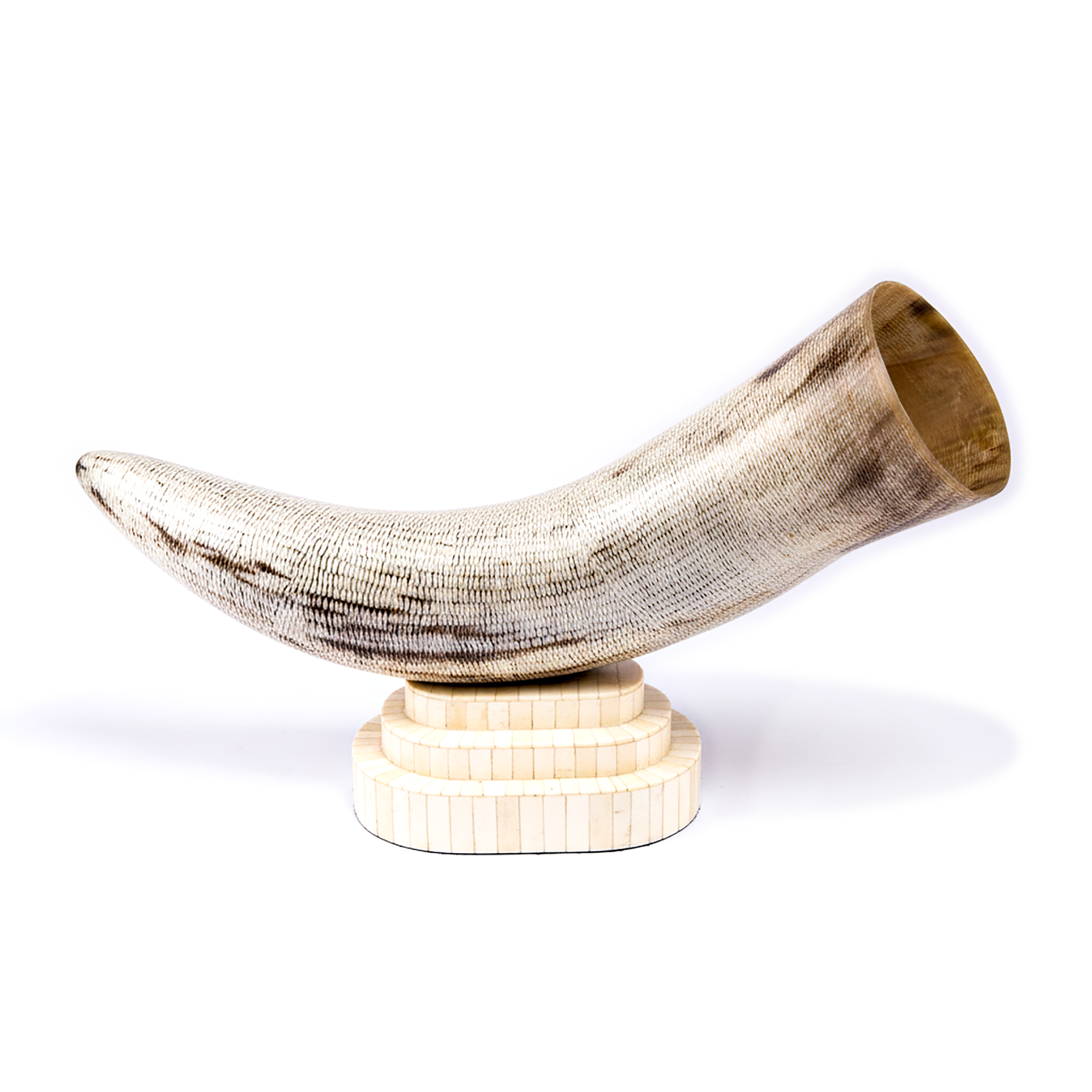 Bojay. Seashell Figurine Designed in Horn Shape. Large Size