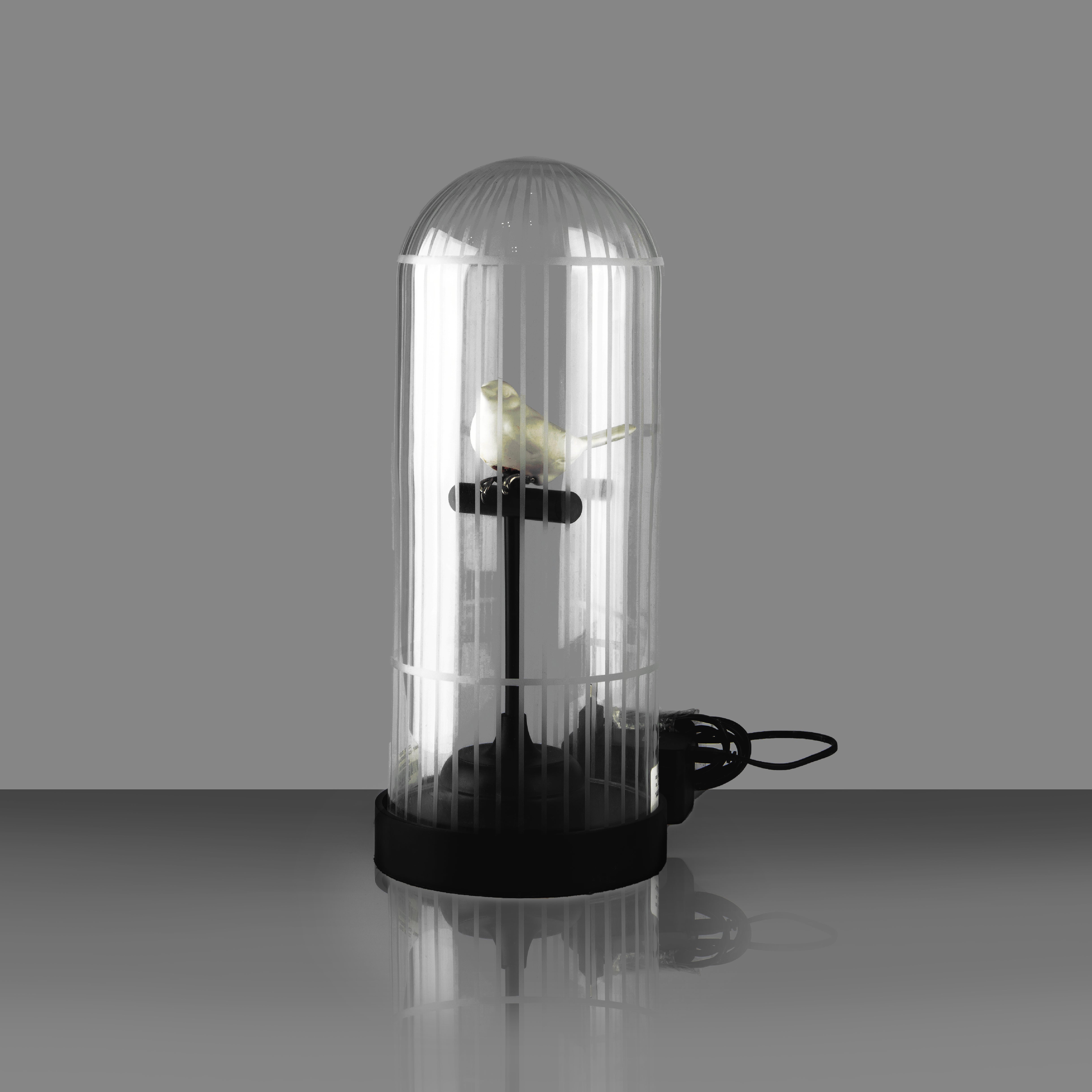 Vanessa Mitrani. Lamp Designed with Birds in a Cage. Large Size
