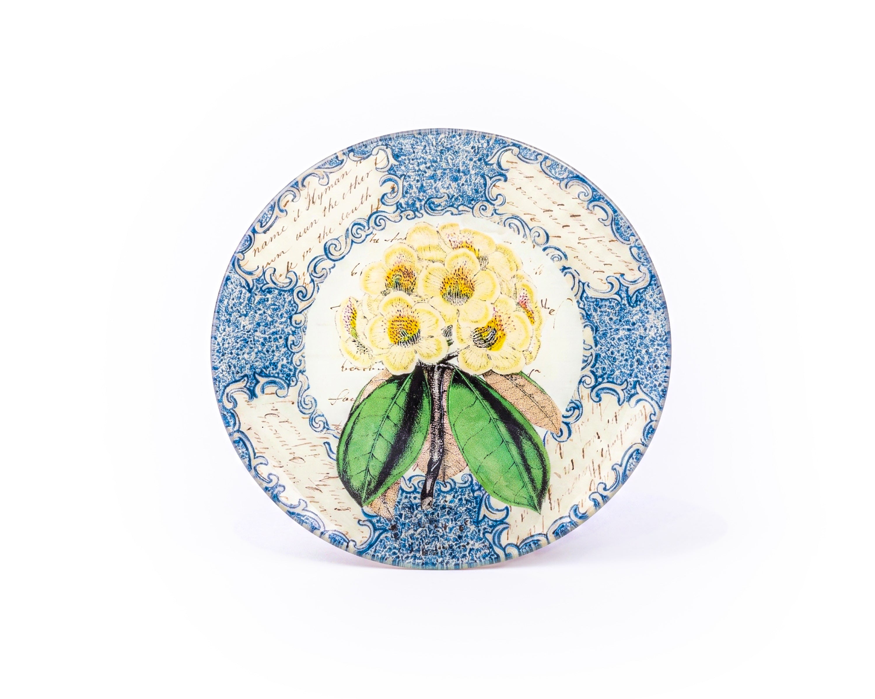 John Derian. Blue Wall Decorative Plate