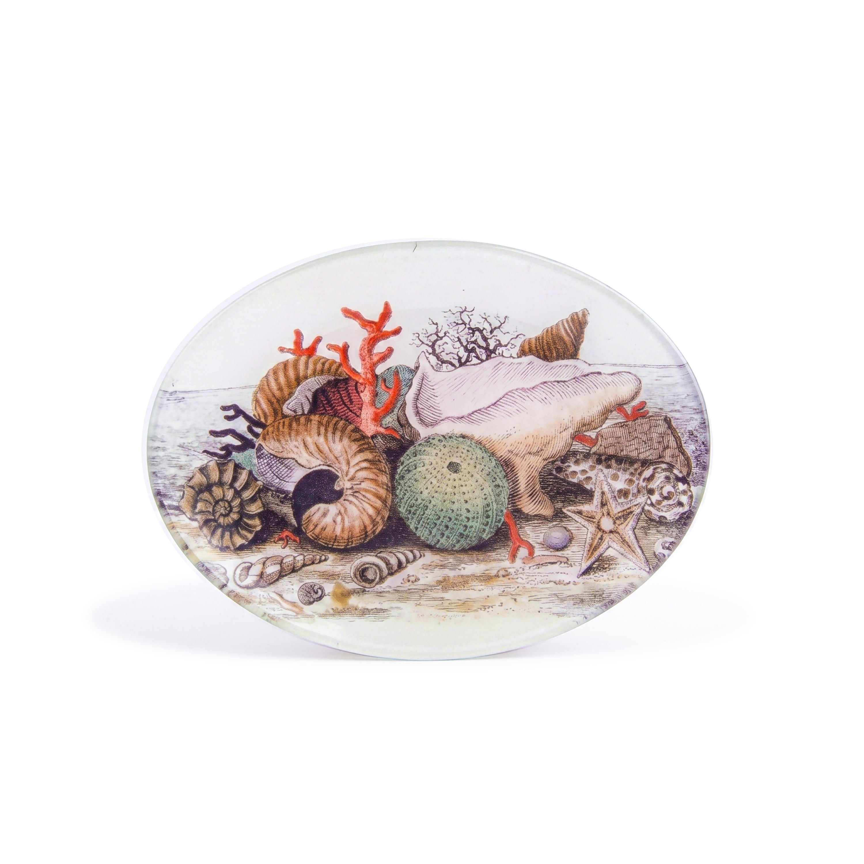 John Derian. Wall Decorative Plate Designed with Shells