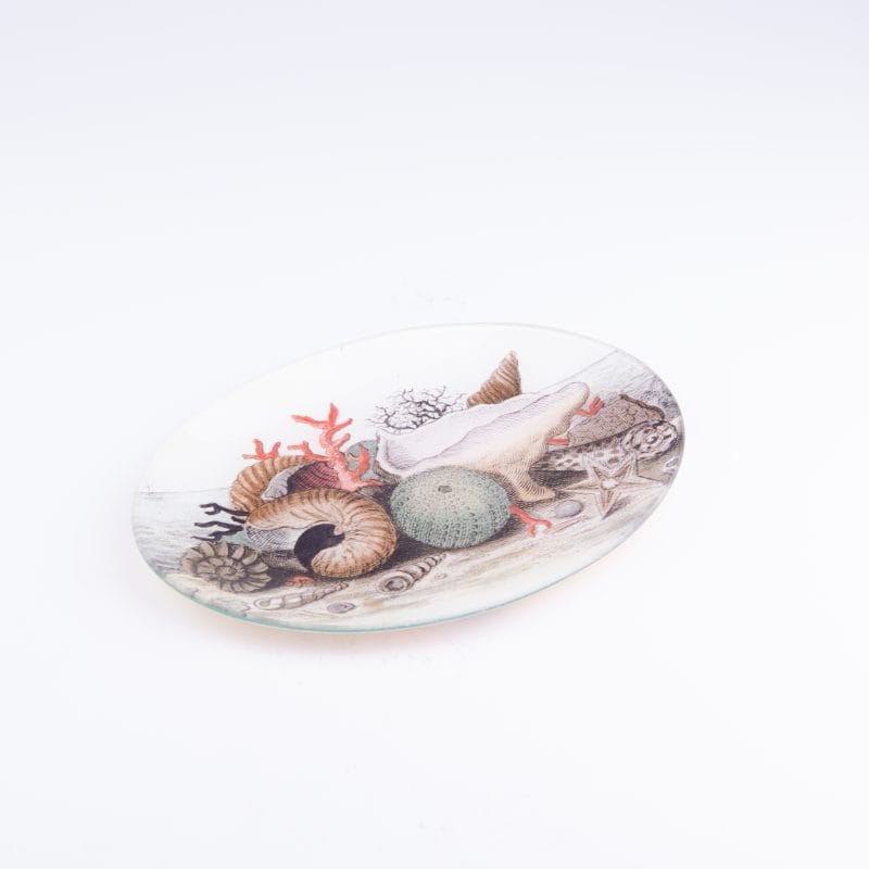 John Derian. Wall Decorative Plate Designed with Shells