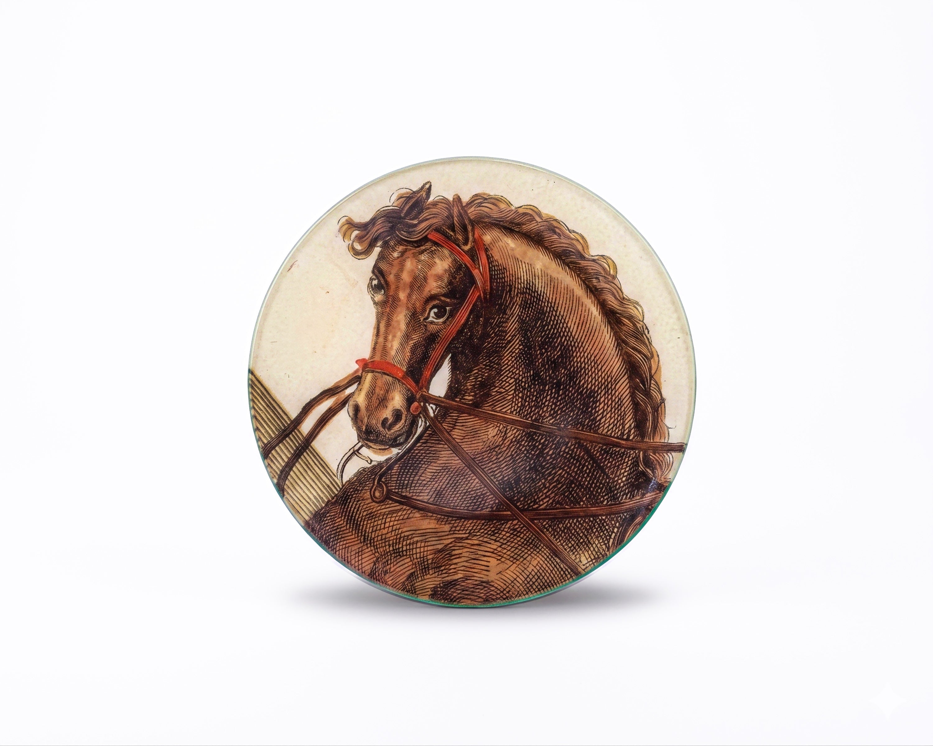 John Derian. Wall Decorative Plate Featuring A Horse Print. Small Size