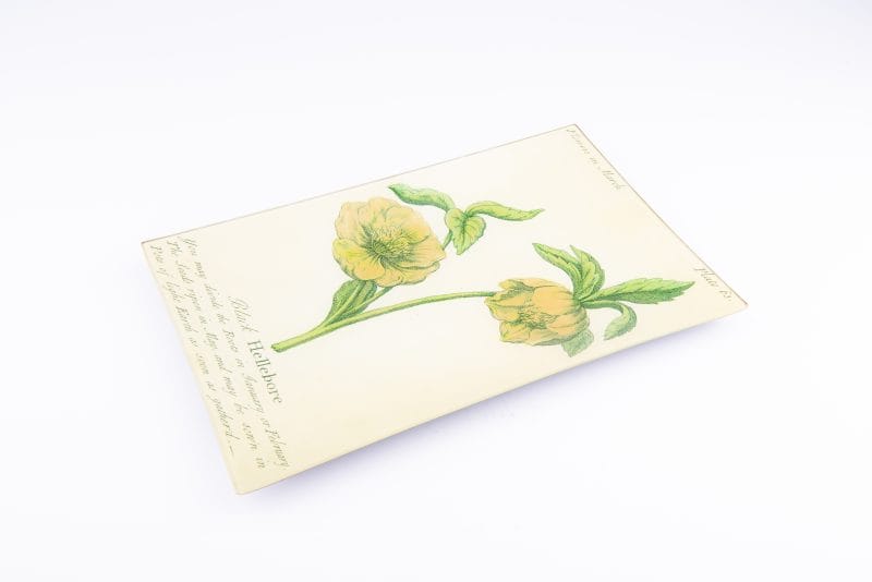 John Derian. Wall Decorative Plate with Hellebore Flowers Design