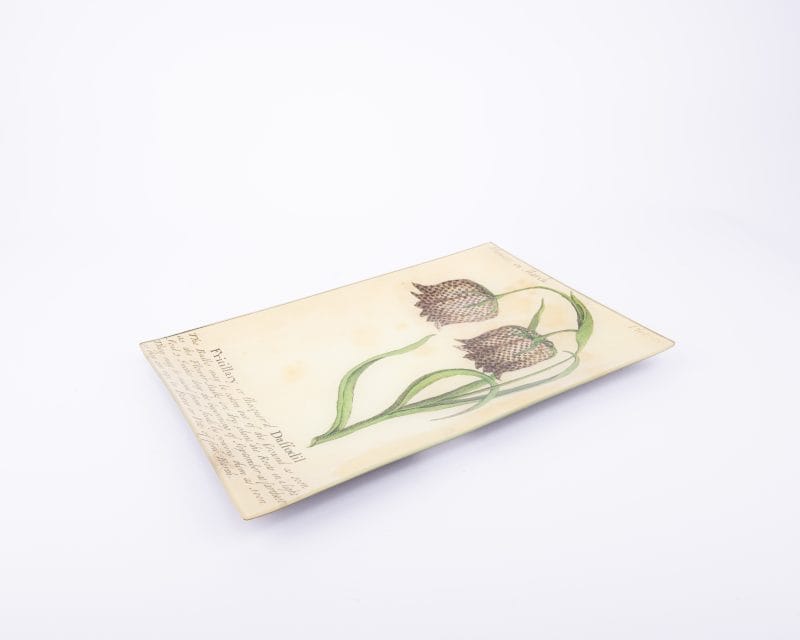 John Derian. Wall Decorative Plate Designed with Daffodil