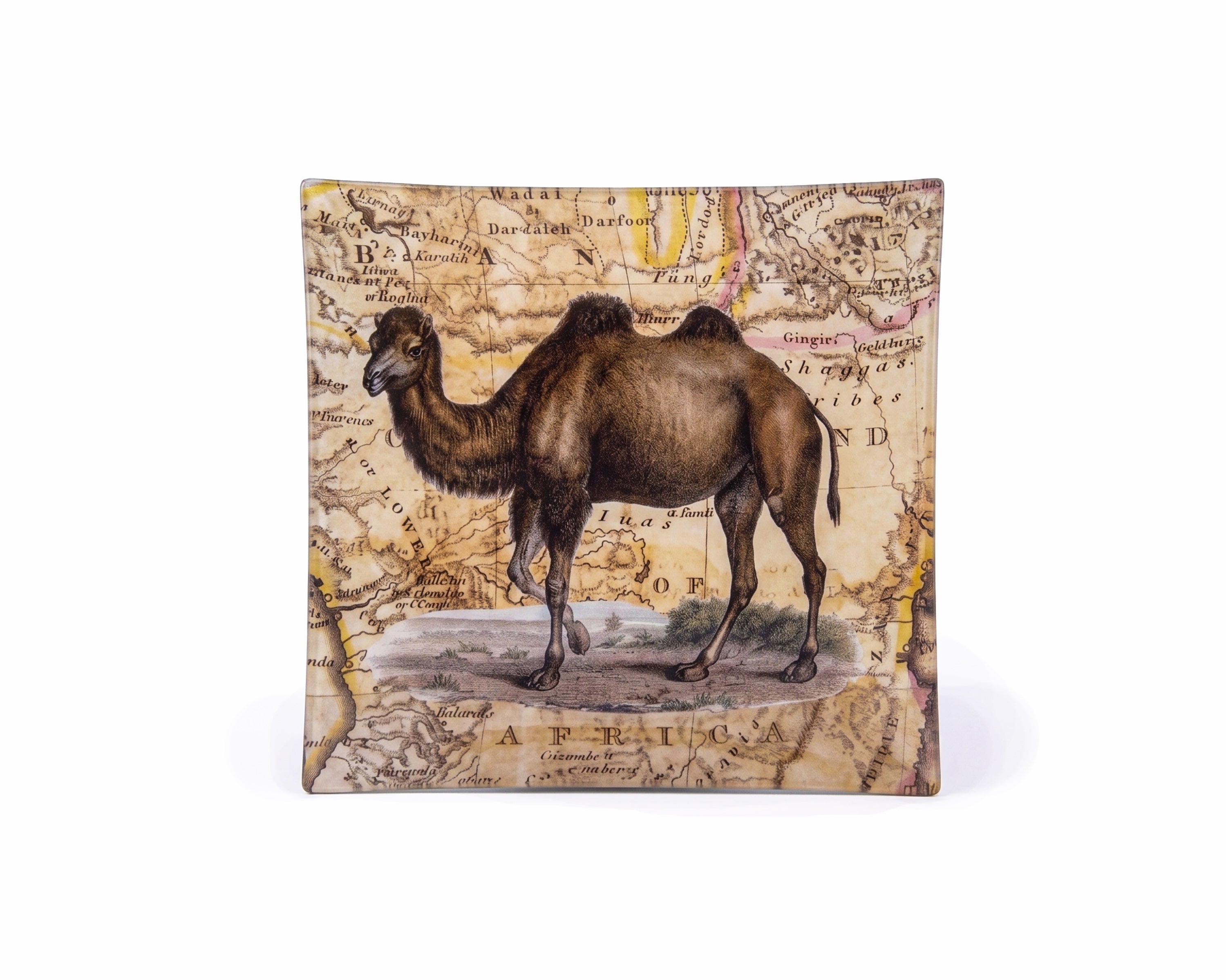 John Derian. Wall Decorative Plate Designed with Camel