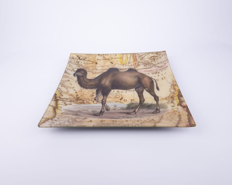 John Derian. Wall Decorative Plate Designed with Camel