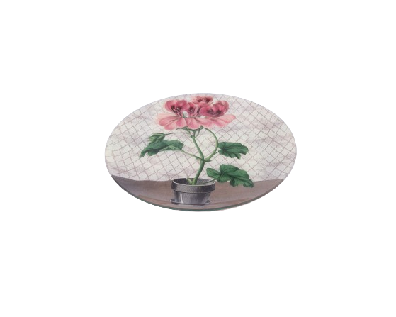 John Derian. Wall Decorative Plate with Mauve Geraniums Illustration