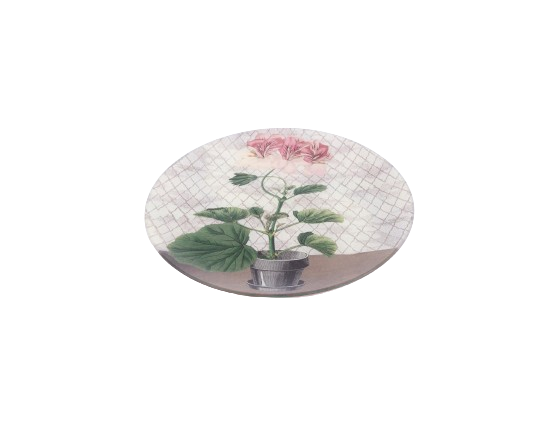 John Derian. Wall Decorative Plate with Pale Geraniums Illustration
