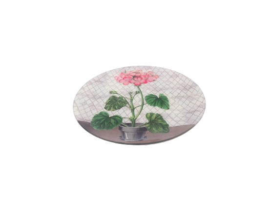 John Derian. Wall Decorative Plate with Pink Geraniums Illustration