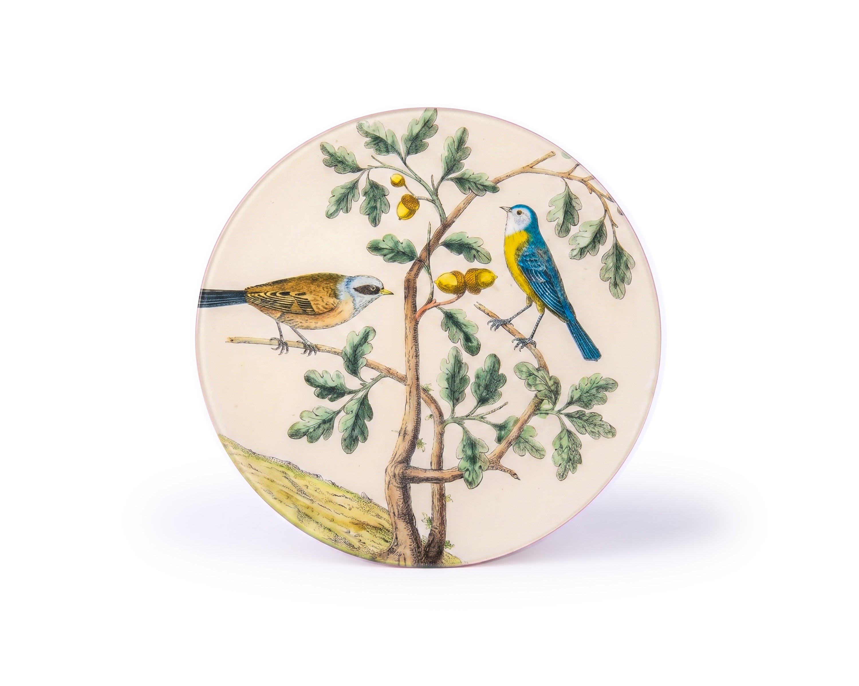 John Derian. Wall Decorative Plate Designed with Birds