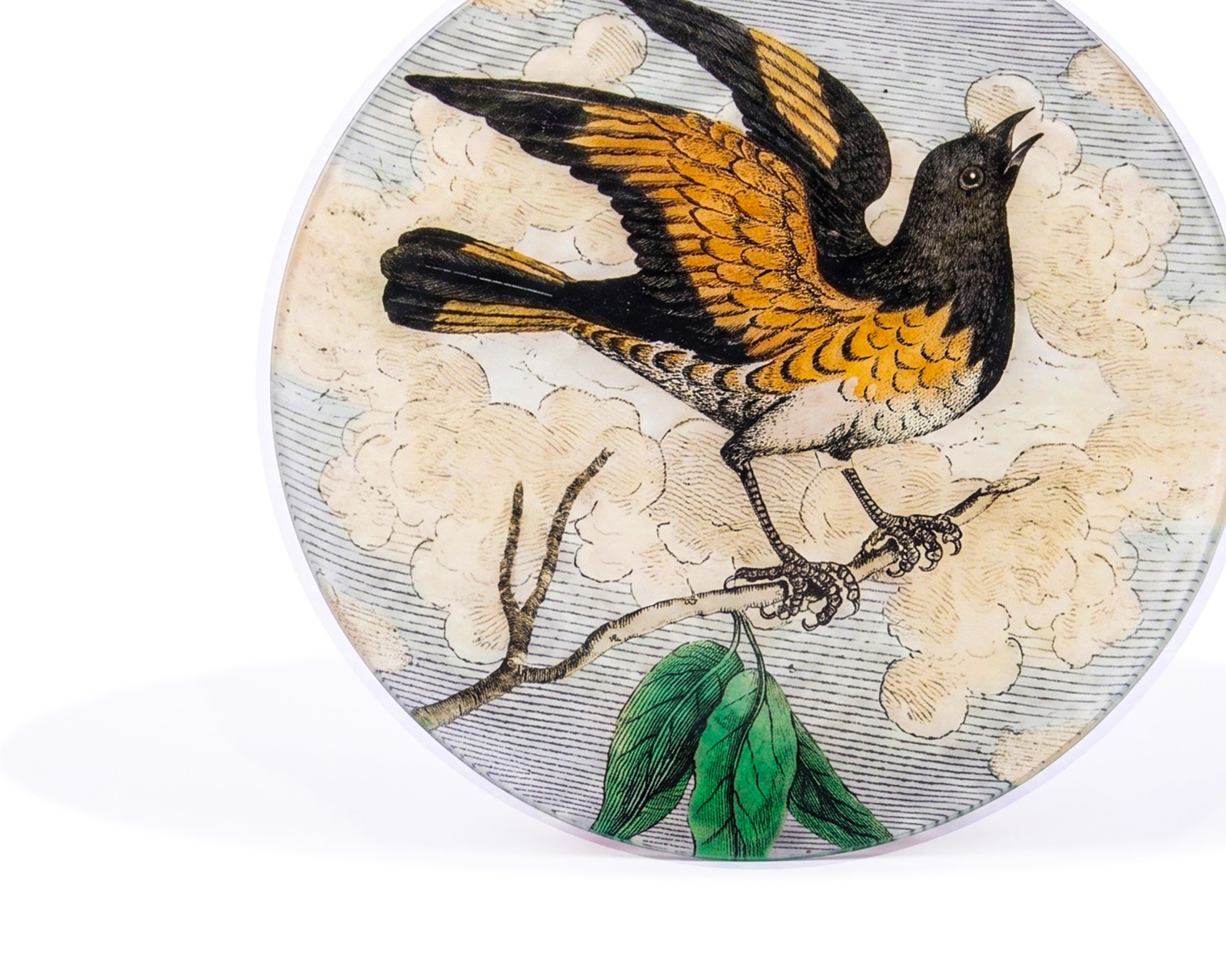 John Derian. Wall Decorative Plate Designed with a Bird