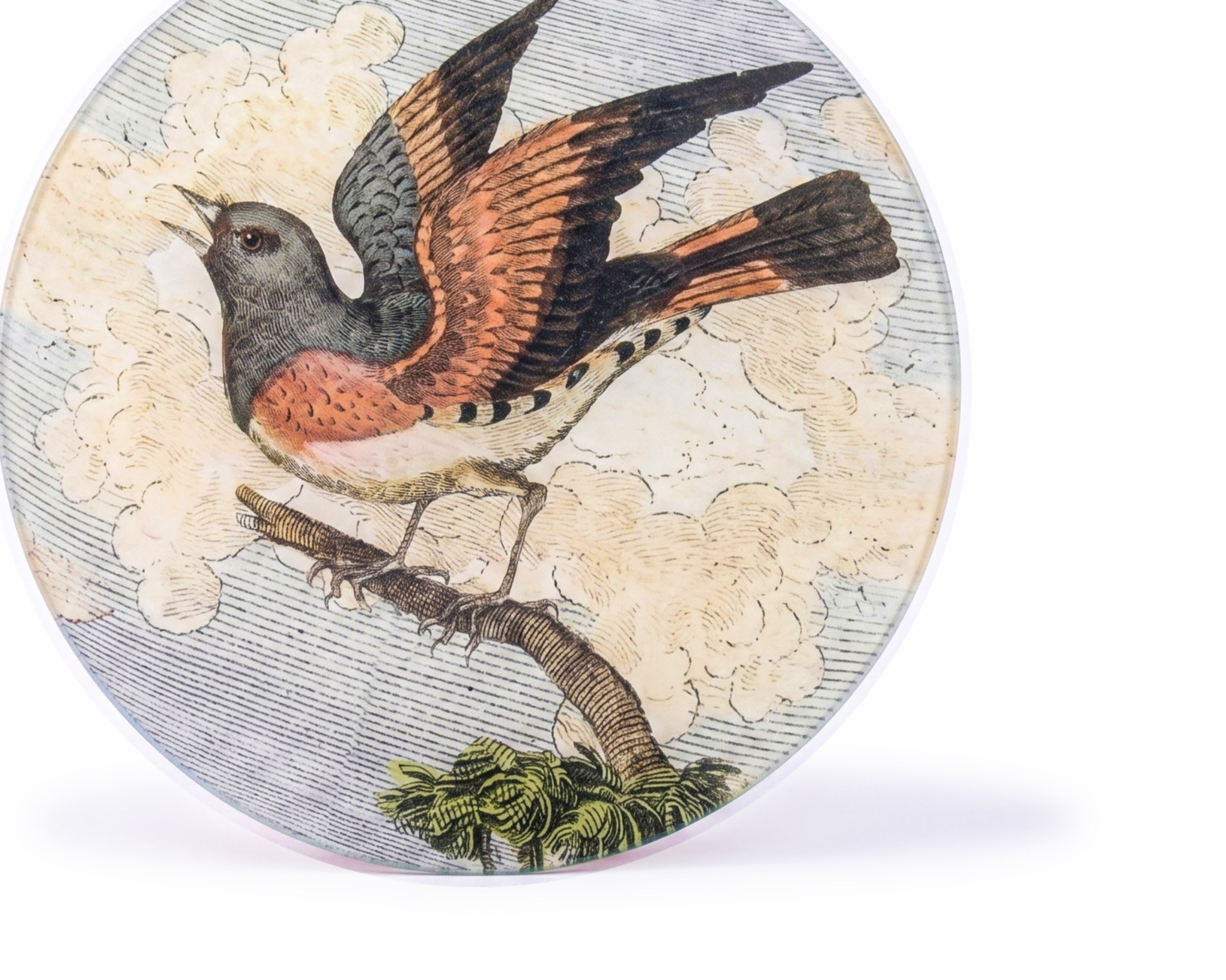 John Derian. Wall Decorative Plate Designed with American Redstart Bird