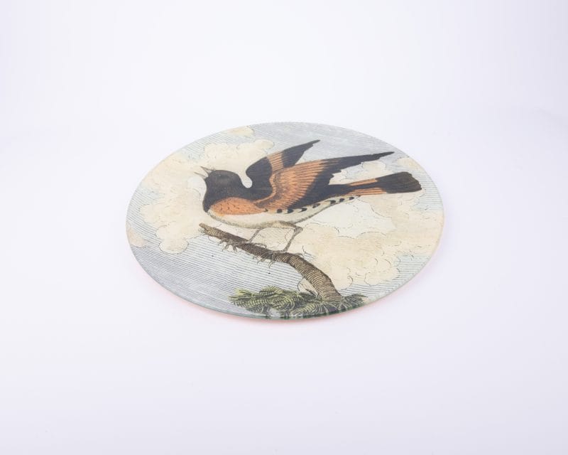 John Derian. Wall Decorative Plate Designed with American Redstart Bird