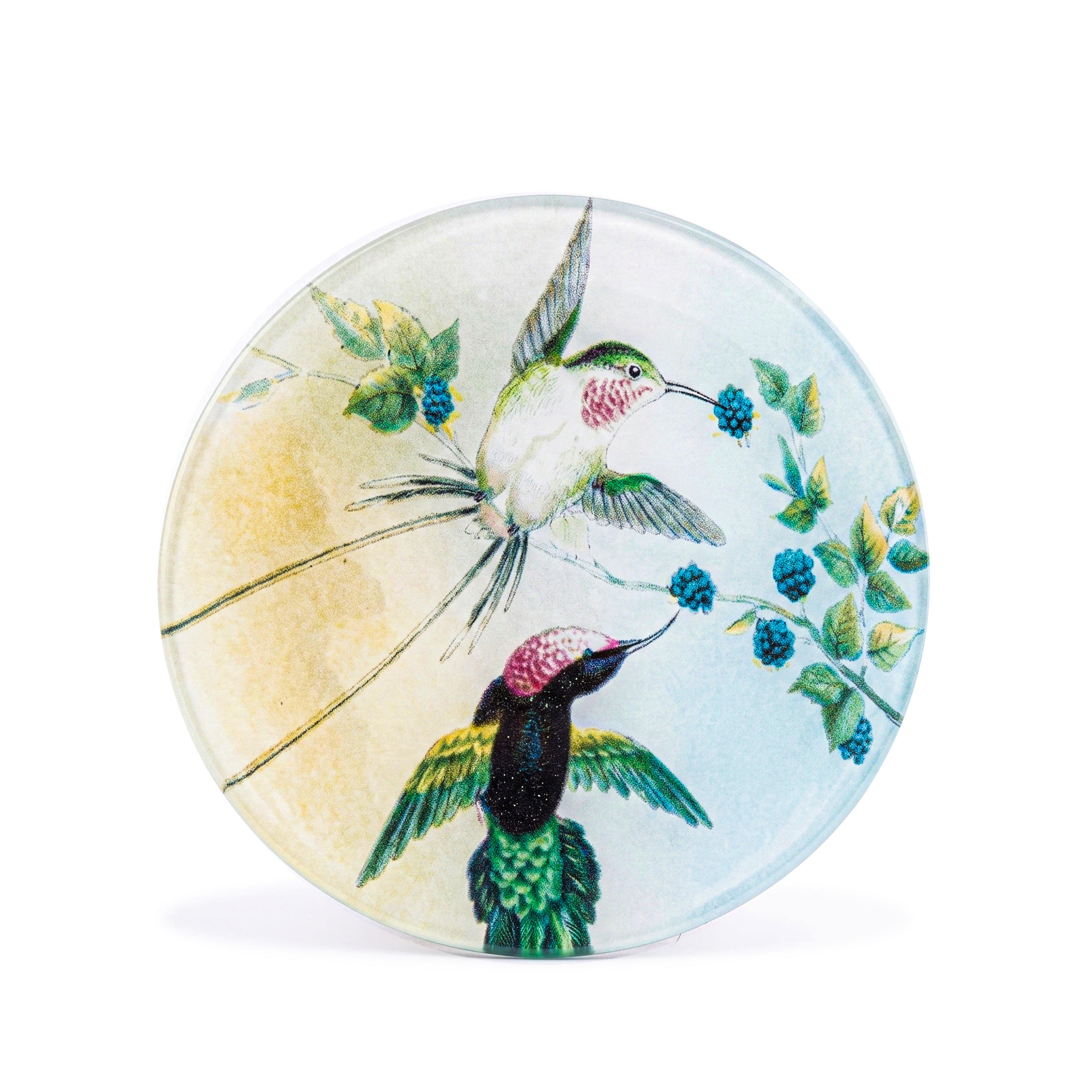 John Derian. Wall Decorative Plate Featuring Birds Illustration