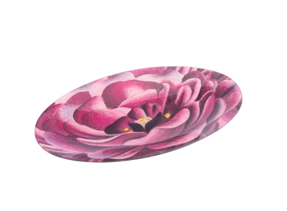 John Derian. Wall Decorative Plate with Flower Illustration