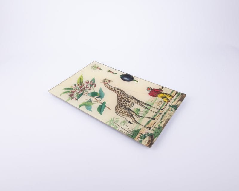 John Derian. Wall Decorative Plate Designed with Giraffe Illustration