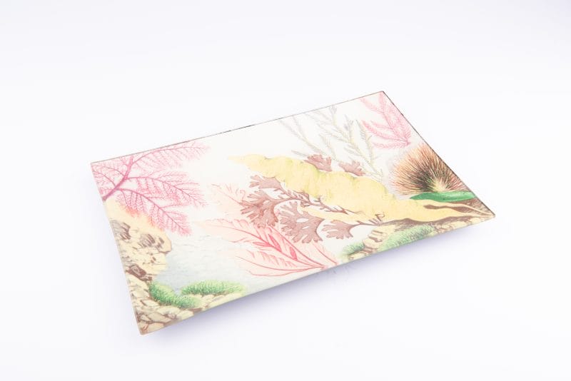 John Derian. Wall Decorative Plate with Sea Life Illustration. Small Size