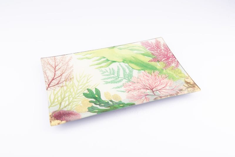 John Derian. Wall Decorative Plate with Sea Life Illustration. Deep colours