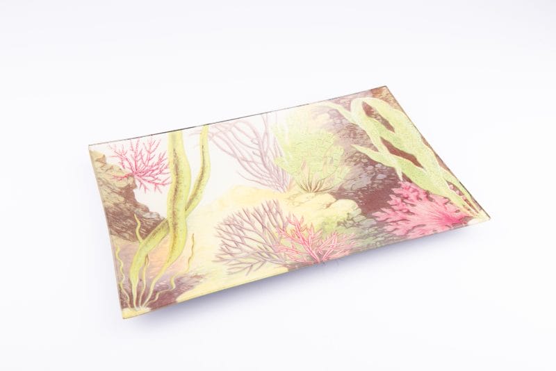 John Derian. Wall Decorative Plate with Sea Life Illustration