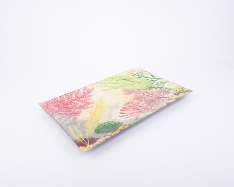 John Derian. Wall Decorative Plate Designed with Sea Life Illustration