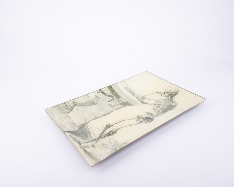 John Derian. Wall Tray with Skeleton Illustration