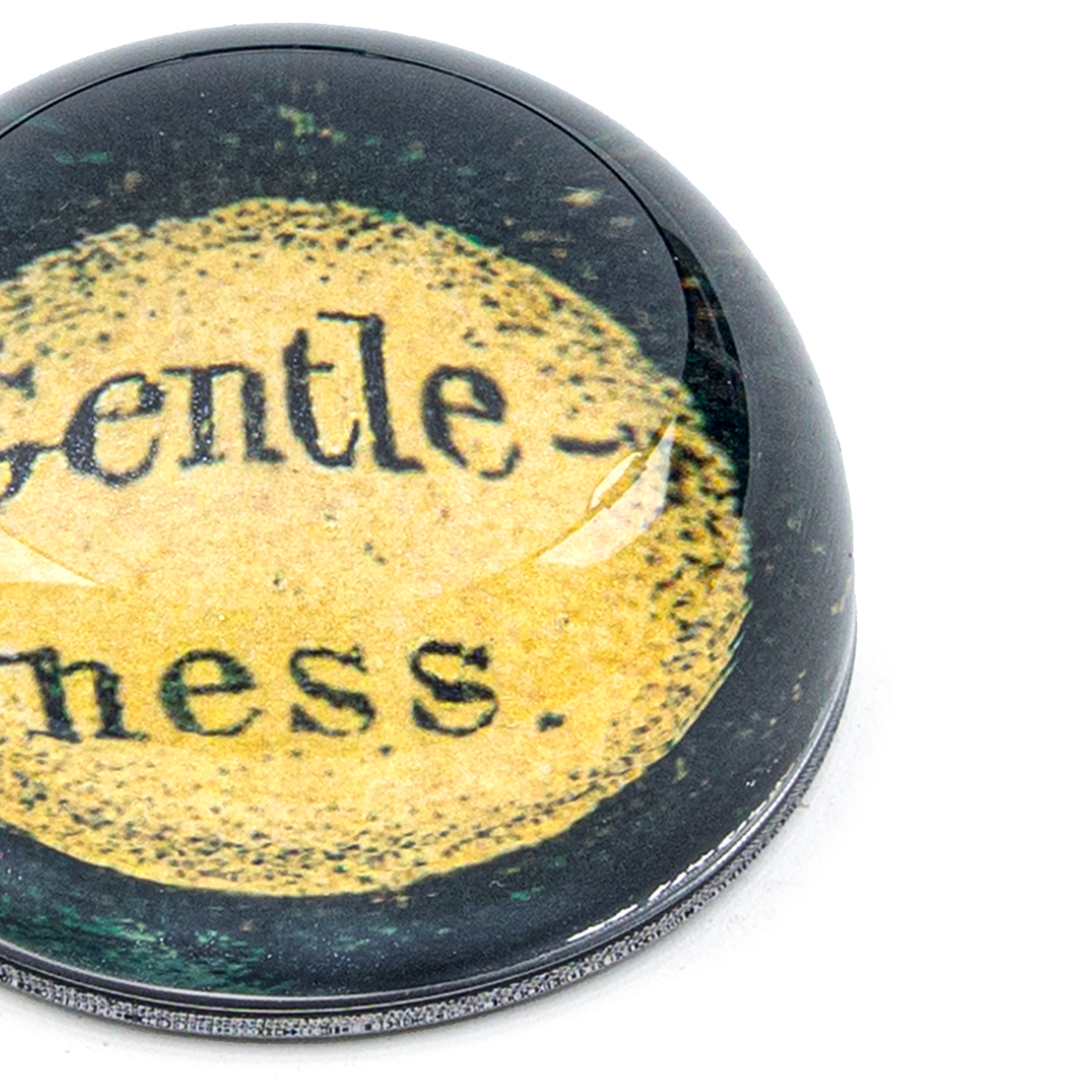 John Derian. "Gentleness" Dome Paperweight. Small Size