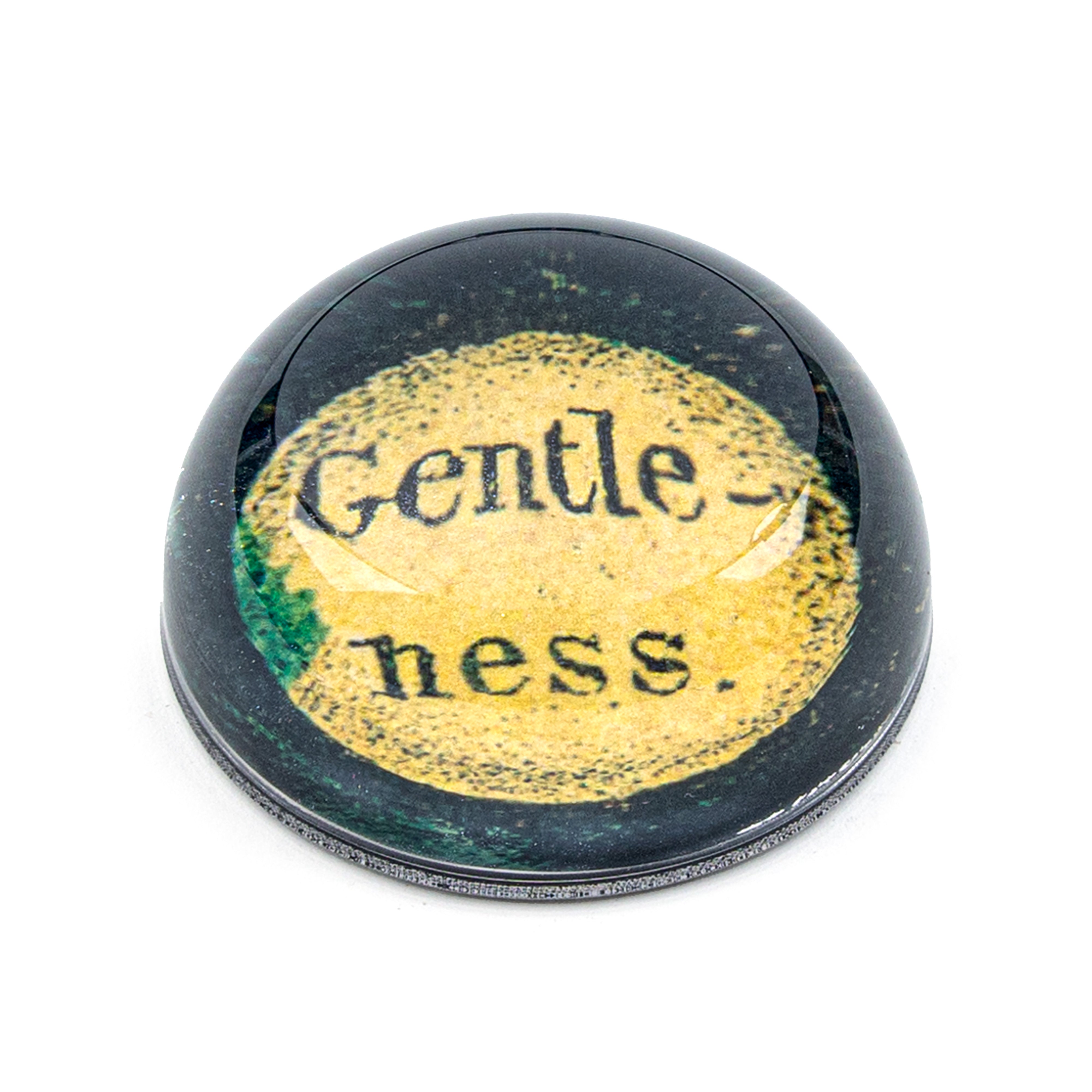 John Derian. "Gentleness" Dome Paperweight. Small Size