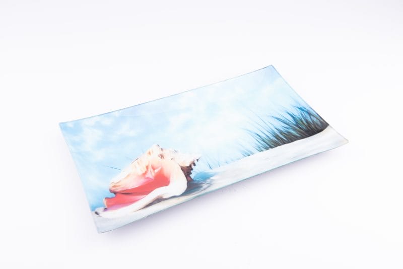 Cindy Avroch. Glass Wall Decorative Plate Designed with Pink Seashell Illustration