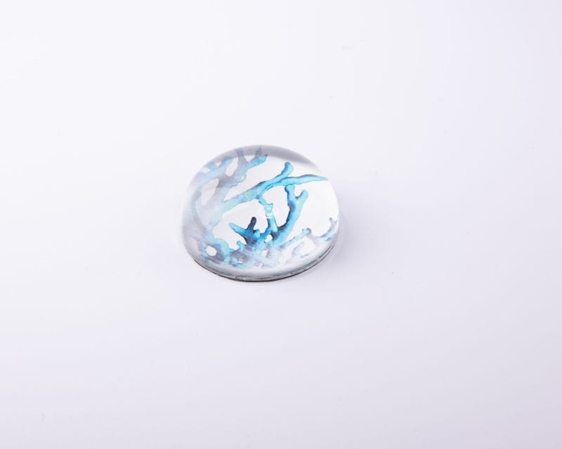 Cindy Avroch. Round Paperweight Designed with Blue Corals
