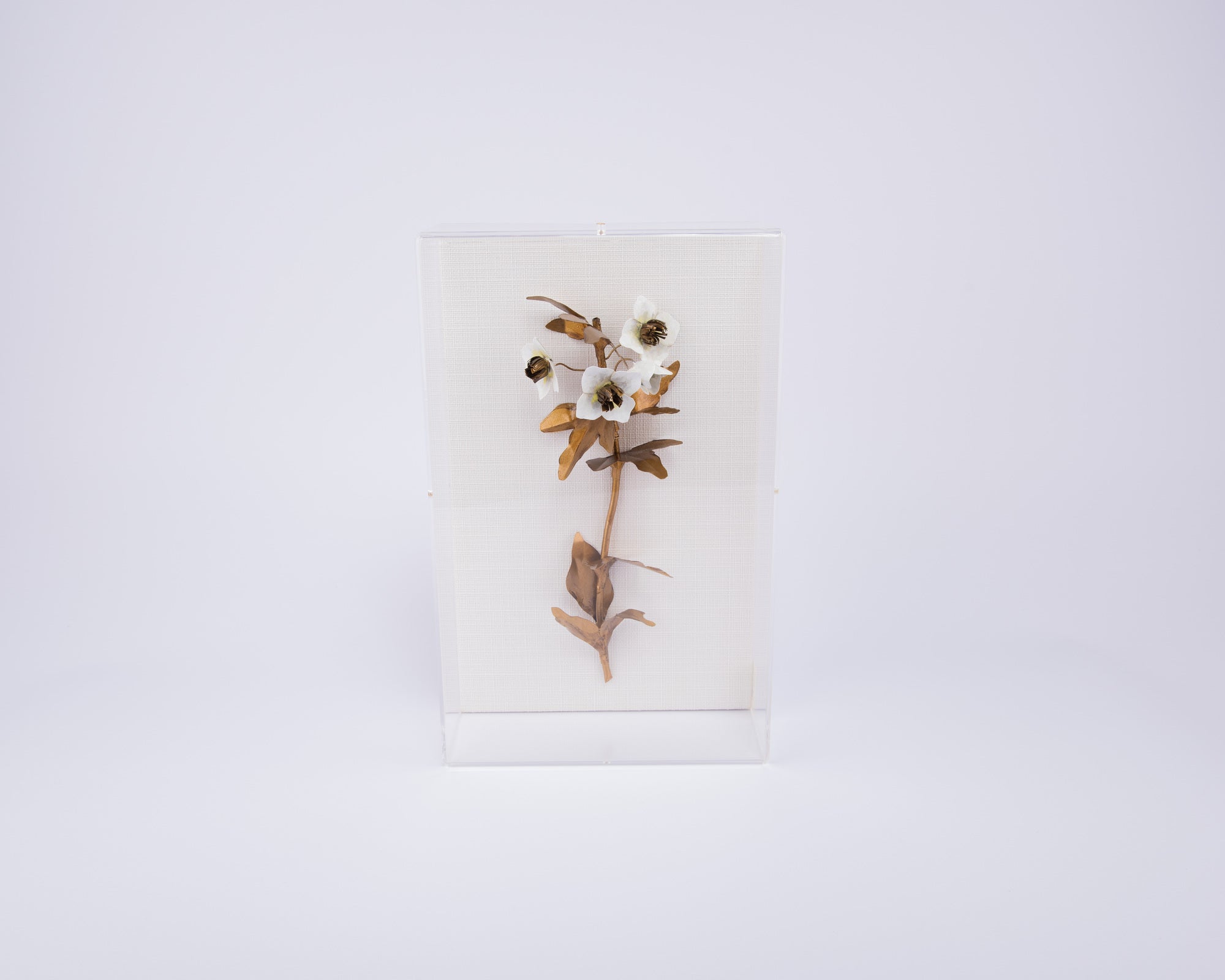 Tommy Mitchell. Border Garden Study Wall Art with White Flowers