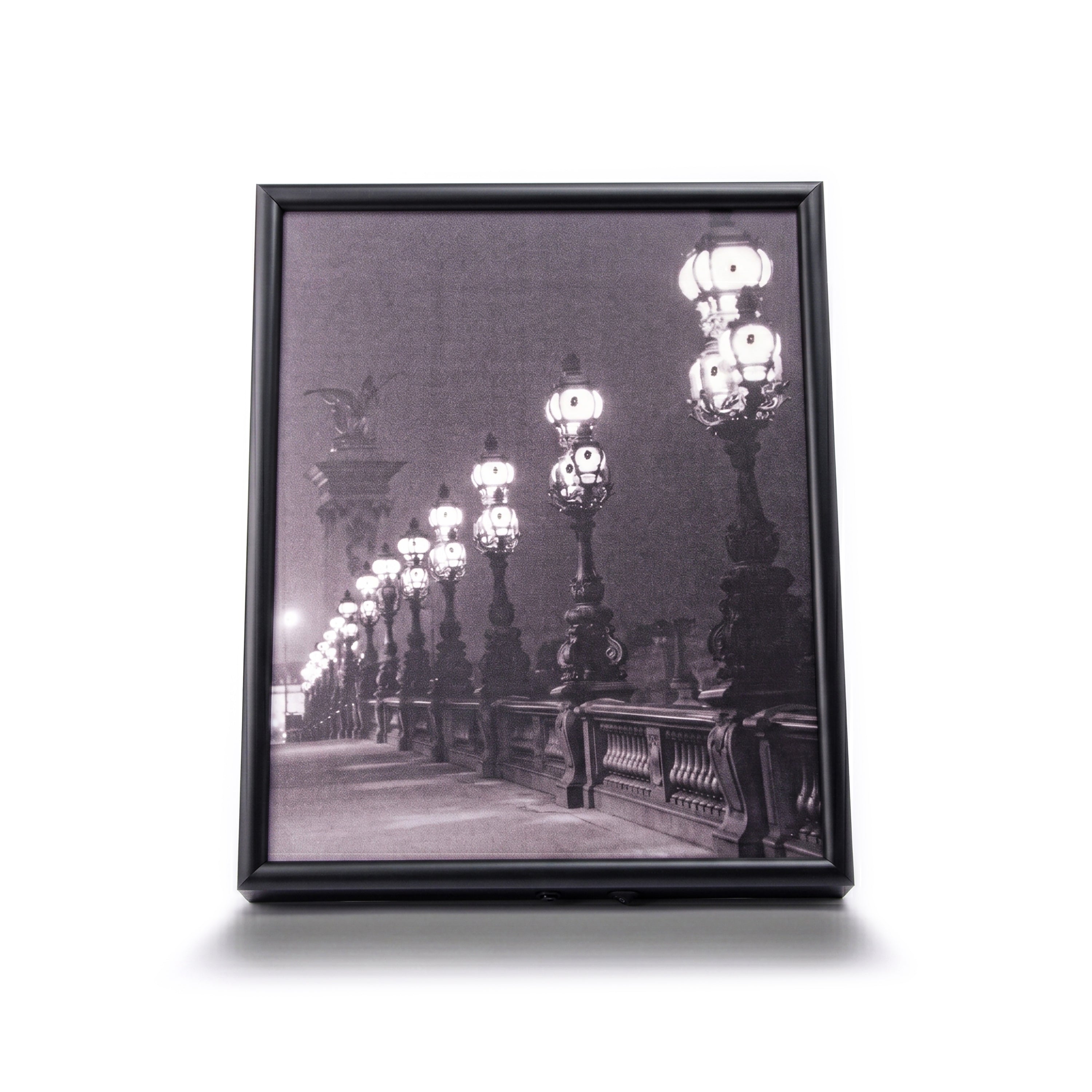Images & Lumières. Pont Alexandre Tableau. Large Size