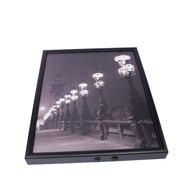 Images & Lumières. Pont Alexandre Tableau. Large Size