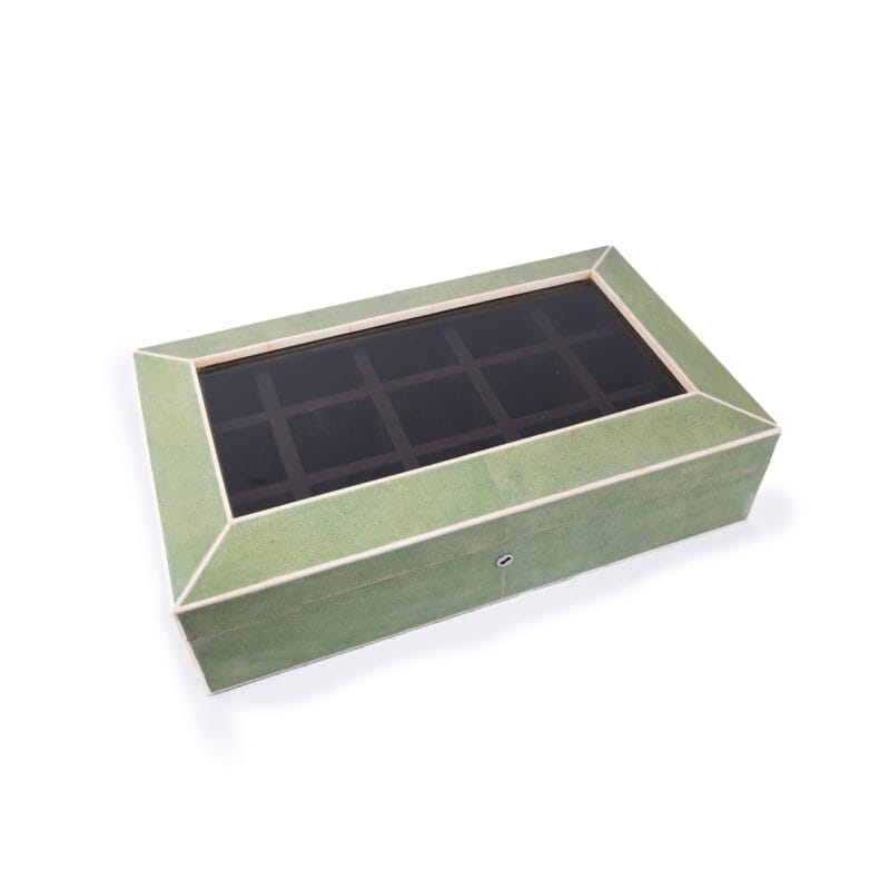 Ginger Brown. Green Seashell Luxury Jewellery Box. Large Size