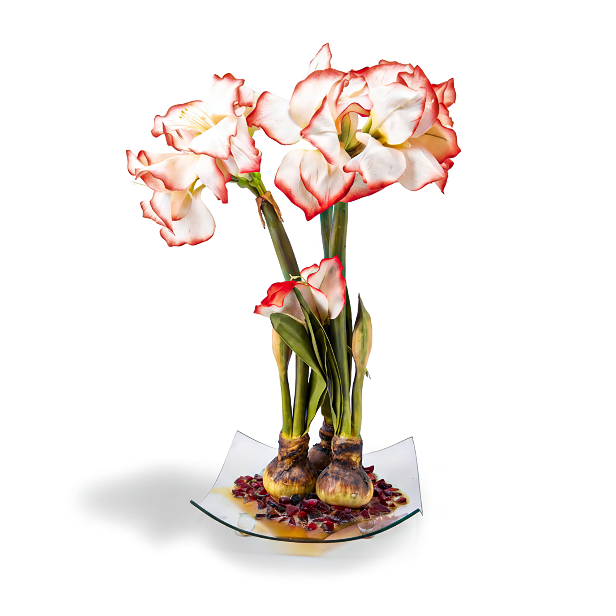 Immortalis Botanicals. Glass Vase with White Flowers. Large Size