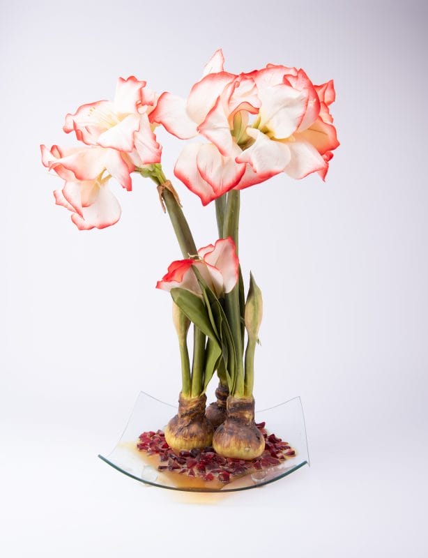 Immortalis Botanicals. Glass Vase with White Flowers. Large Size