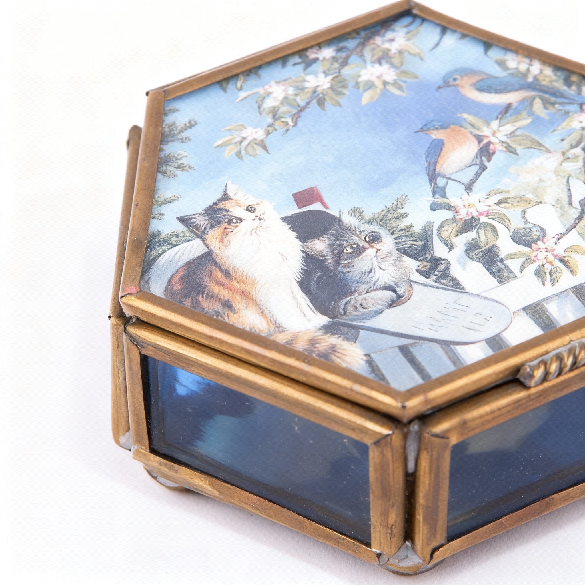 Idée Art Exclusive. Glass Souvenir Box with Cats Illustration.