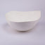 Idée Art Exclusive. White Ceramic Decorative Plate with Seashell Design. Medium Size