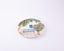 Idée Art Exclusive. Porcelain Decorative Plate with Garden Illustration. Small Size